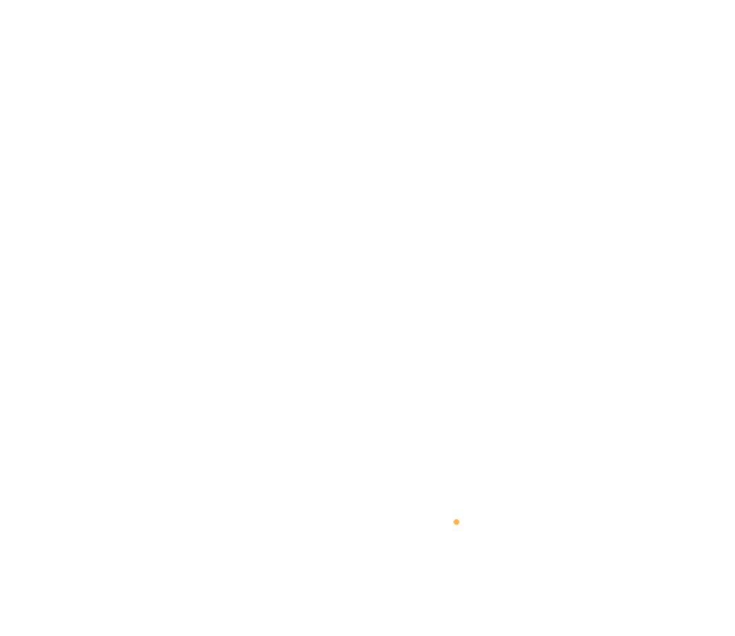 Dinner-party-5